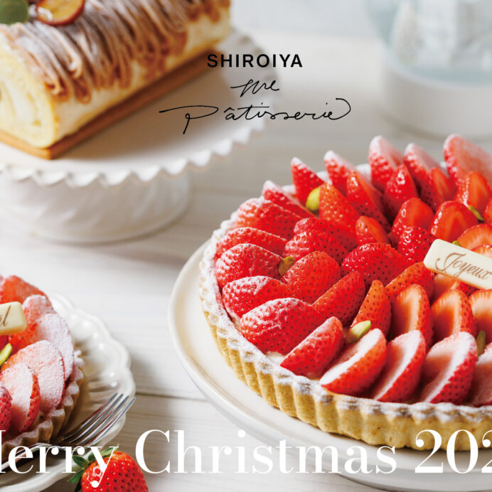 白井屋ホテルのアートと美食のクリスマス2024「前橋のまちをやさしく灯すアートイルミネーションと美食を楽しむ白井屋ホテルのクリスマス」